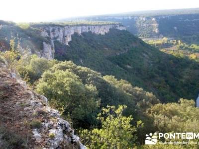 Cañones y nacimento del Ebro - Monte Hijedo;fruto del tejo;sitios visitar madrid